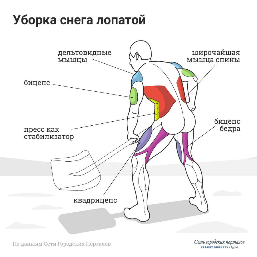 Лопата прокачает руки, ноги и пресс Лопата прокачает руки, ноги и пресс
