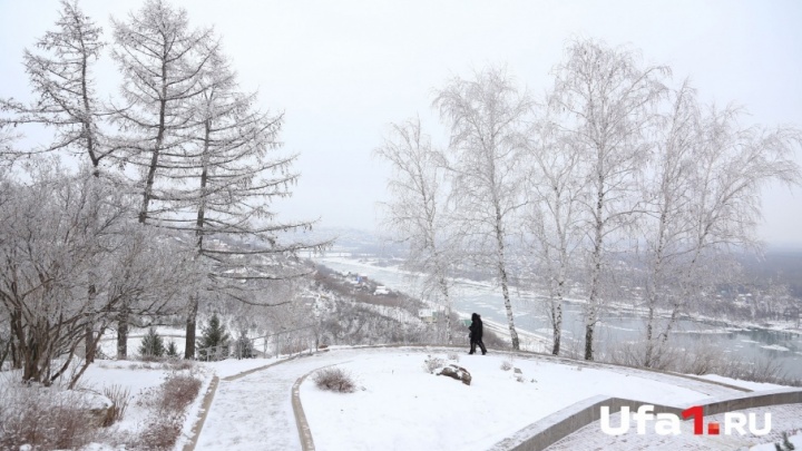Метель и снежные заносы: синоптики предупредили о плохой погоде в Башкирии