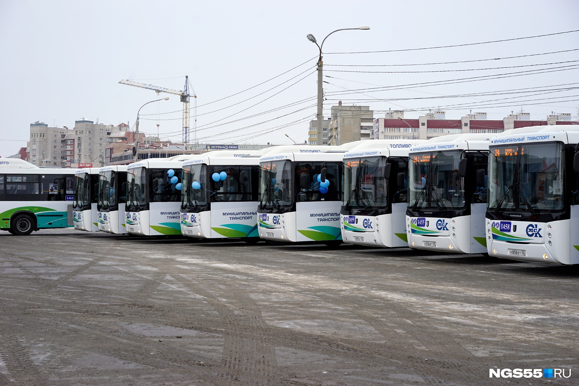 Транспорт омск. Омск автобус 2020. Новые автобусы Омск. Транспорт Омск новый. Общественный транспорт Омск 2020.