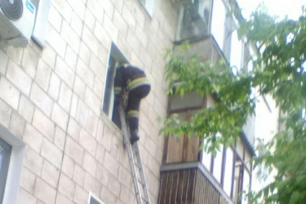 Пожарный по лестнице залез в окно и ликвидировал угрозу Пожарный по лестнице залез в окно и ликвидировал угрозу