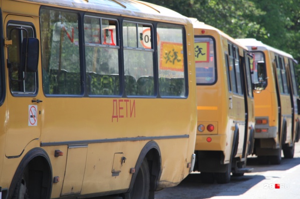 В Ростовской области около 300 школьных автобусов В Ростовской области около 300 школьных автобусов