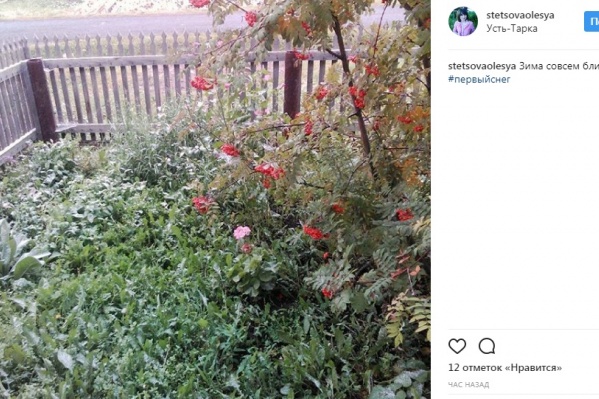 Первый снег сегодня главный герой Instagram Первый снег сегодня главный герой Instagram