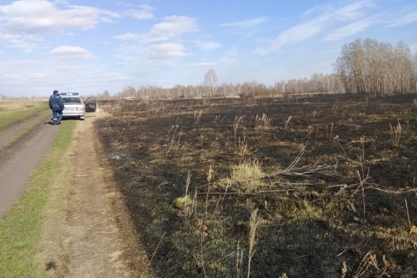 Житель села хотел почистить поле, чтобы потом заготовить сено Житель села хотел почистить поле, чтобы потом заготовить сено