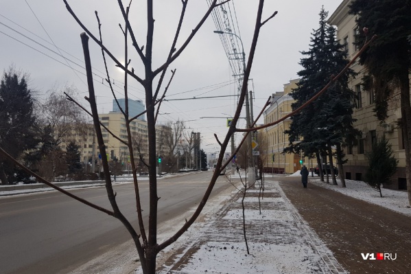 Вот так блекло теперь выглядит тротуар перед зданием областной администрации Вот так блекло теперь выглядит тротуар перед зданием областной администрации