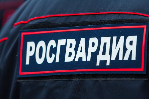 Росгвардейцы по периметру оцепили здание, чтобы поймать грабителей Росгвардейцы по периметру оцепили здание, чтобы поймать грабителей