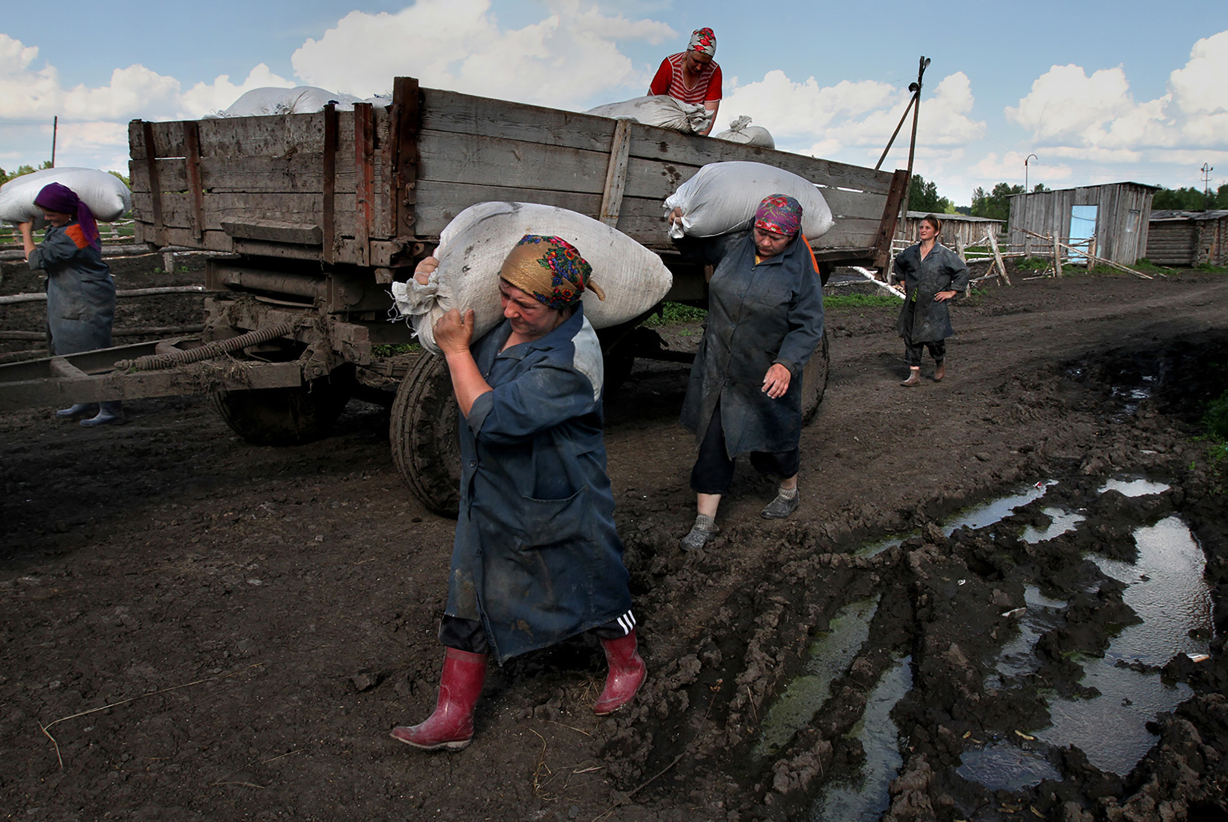 Кольтюгино, 2010 год Кольтюгино, 2010 год