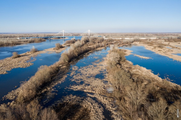 Морозный рекорд зафиксировали в области Морозный рекорд зафиксировали в области