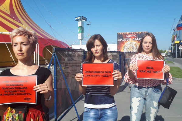 Акция прошла сегодня утром на парковке торгового центра Акция прошла сегодня утром на парковке торгового центра