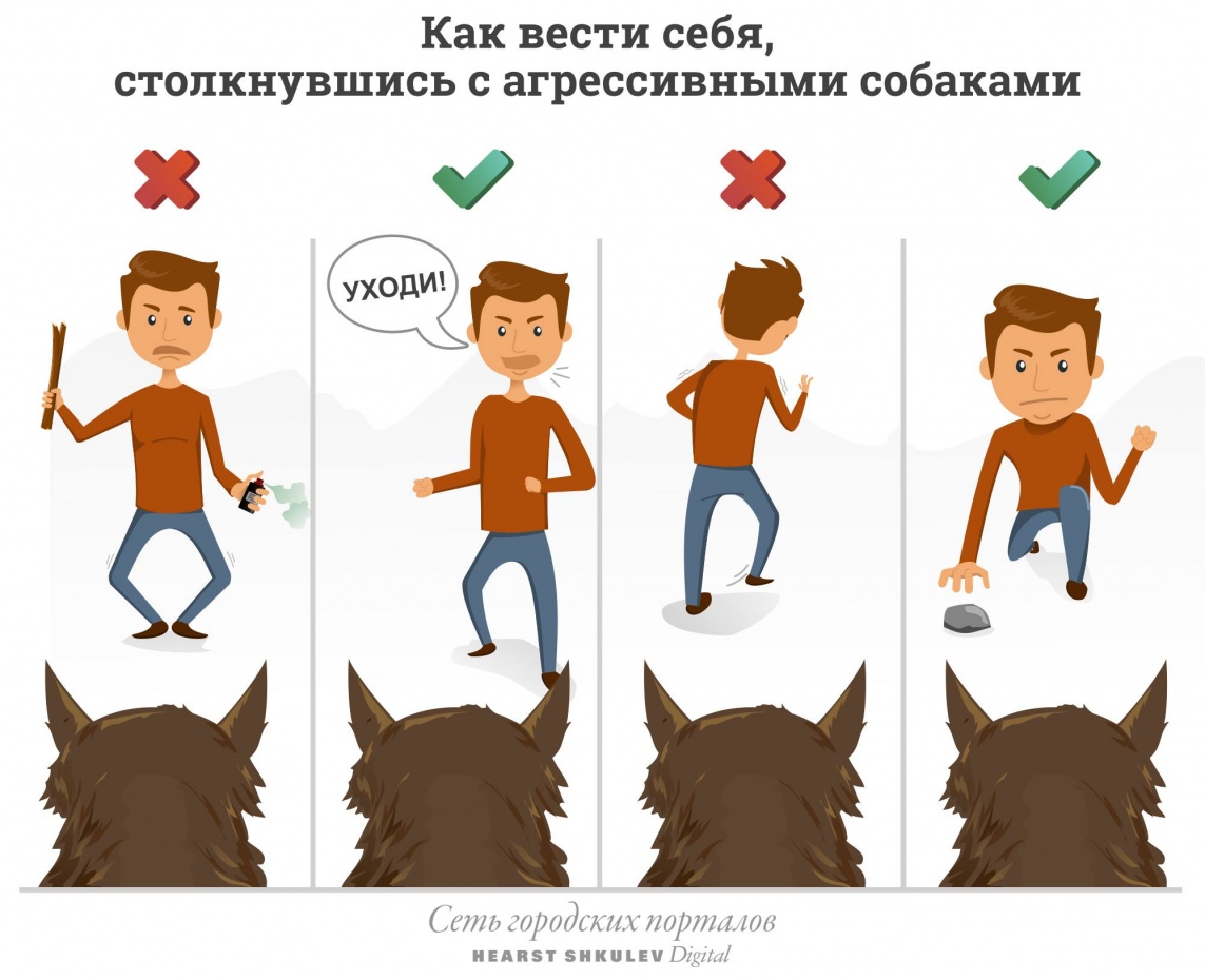 Правила просты, но эффективны Правила просты, но эффективны