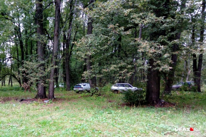 Охотники за боеприпасами оставляют свои машины в лесополосе неподалеку от заброшенной военчасти
