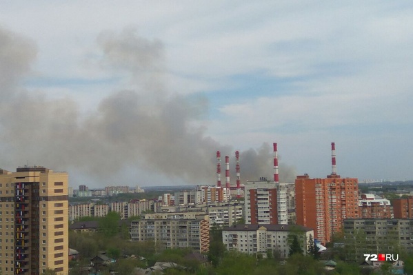 Клубы дыма хорошо видны из окон многоэтажек Клубы дыма хорошо видны из окон многоэтажек