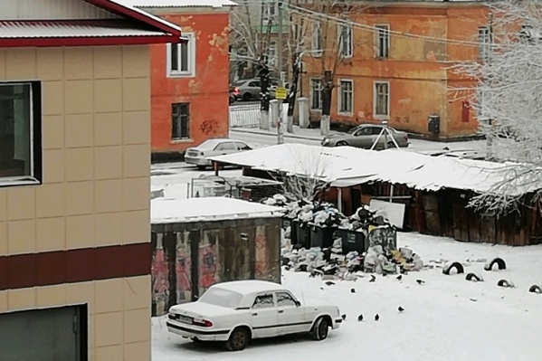 Баки переполнены на Мичурина, 23 Баки переполнены на Мичурина, 23