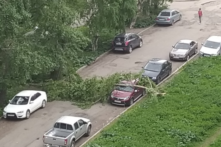 ЧП произошло на Новгородском проспекте ЧП произошло на Новгородском проспекте