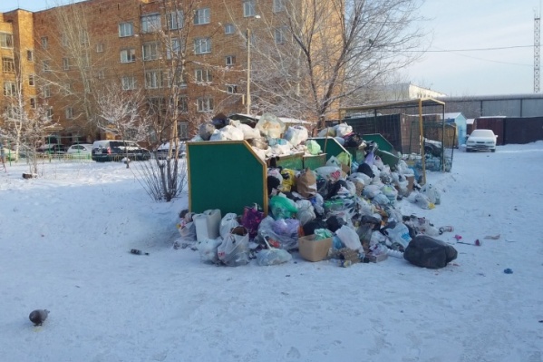 Мусорные баки на улице Парашютной Мусорные баки на улице Парашютной