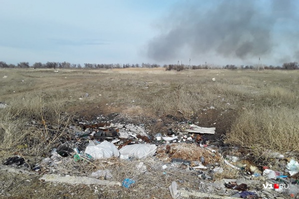 Ликвидатор камышинской свалки параллельно будет продолжать очищать Волго-Ахтубинскую пойму Ликвидатор камышинской свалки параллельно будет продолжать очищать Волго-Ахтубинскую пойму