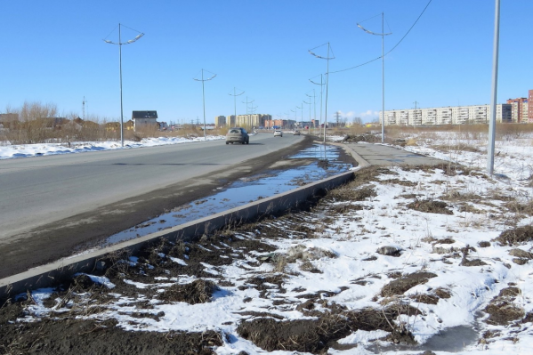 Тюменцы начали отправлять обращения в городские департаменты с конца июня Тюменцы начали отправлять обращения в городские департаменты с конца июня