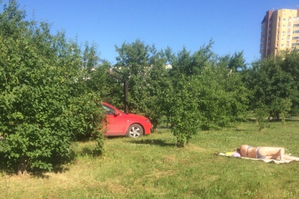 Тюменка заехала на тротуар в Заречном парке и устроилась принимать солнечные ванны Тюменка заехала на тротуар в Заречном парке и устроилась принимать солнечные ванны