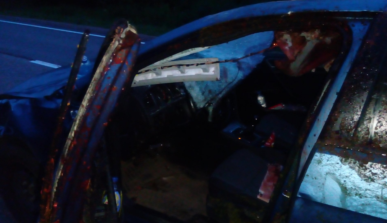 Машина врезалась в дерево: сегодня ночью на трассе в Ярославской области погиб водитель