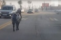 «Бочком прижать»: автомобилисты спасли пони, бегущего по дороге в Магнитогорске