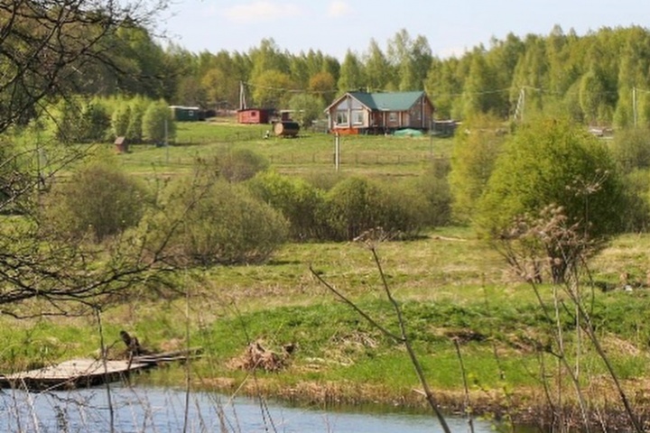 Домики стоят рядом с рекой в окружении леса