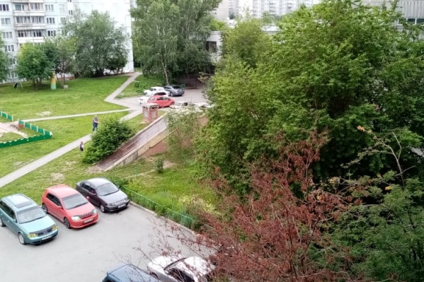 Двор дома, возле которого всё произошло Двор дома, возле которого всё произошло