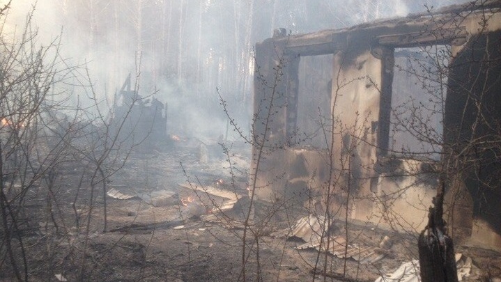 «Реветь охота»: в Челябинской области сгорели 30 садовых домиков и тысячи гектаров леса