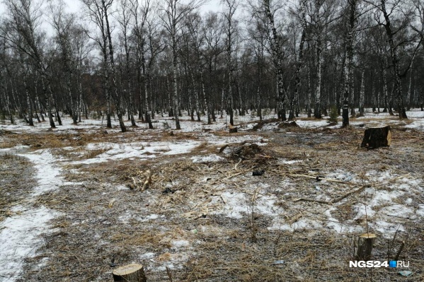 Поляна на Ленинградской Поляна на Ленинградской 