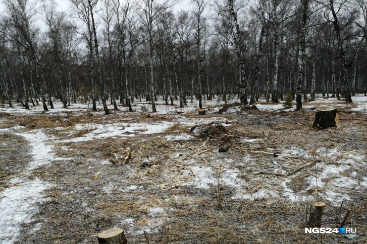 Поляна на Ленинградской Поляна на Ленинградской