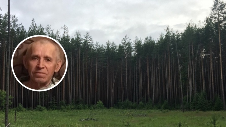 Пропавшего в лесу под Усть-Качкой пенсионера нашли его родственники