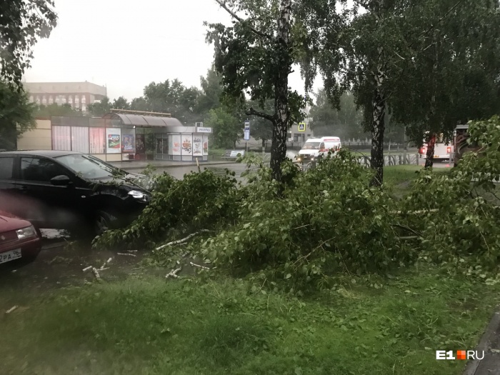 На прошлой неделе Екатеринбург уже пострадал от разгула стихии На прошлой неделе Екатеринбург уже пострадал от разгула стихии