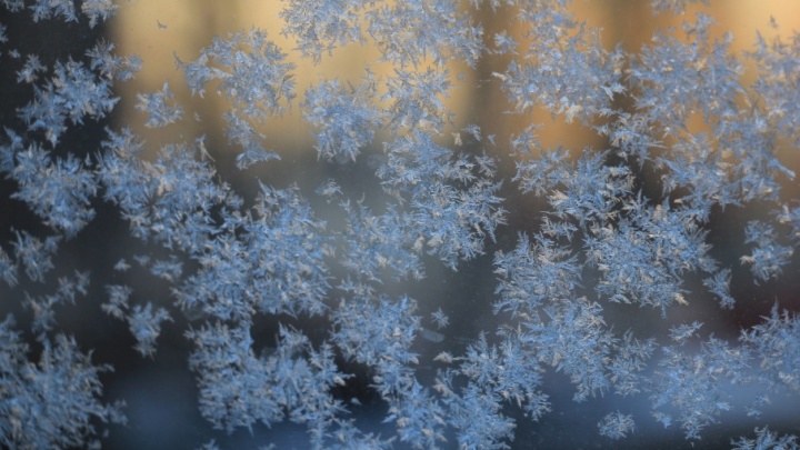 Мороз и солнце: подборка самых ярких зимних фото их архангельских инстаграмов