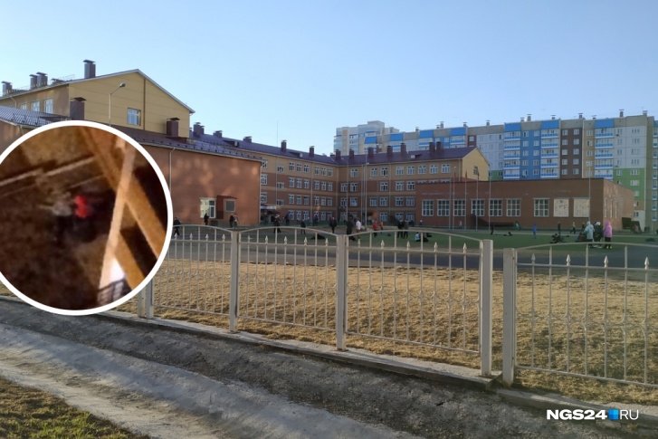 Девочка жила и училась в микрорайоне «Покровский» Девочка жила и училась в микрорайоне «Покровский»