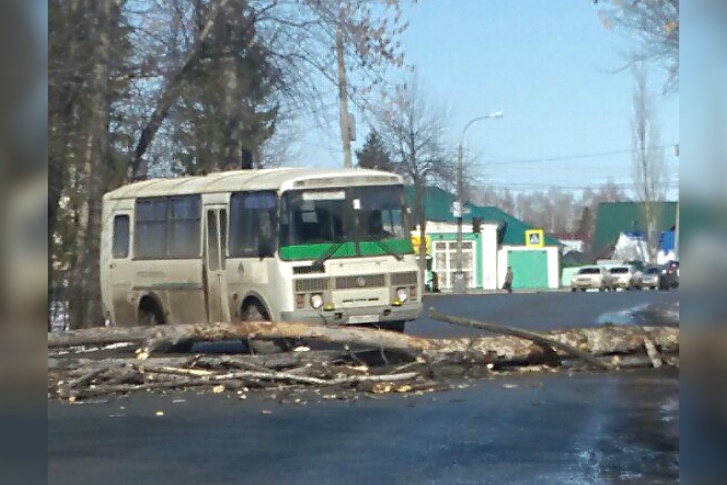 Поблизости, к счастью, не было автомобилей Поблизости, к счастью, не было автомобилей