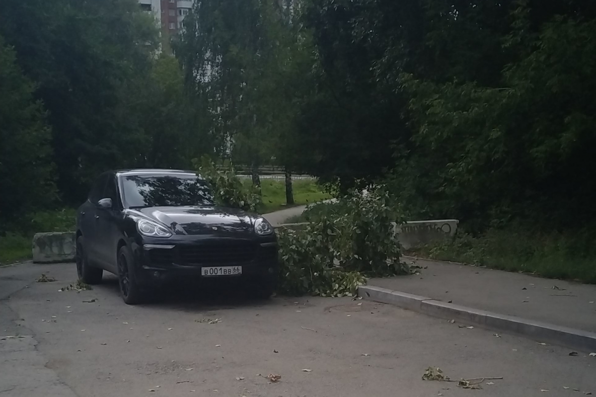 Около Зеленой Рощи Около Зеленой Рощи
