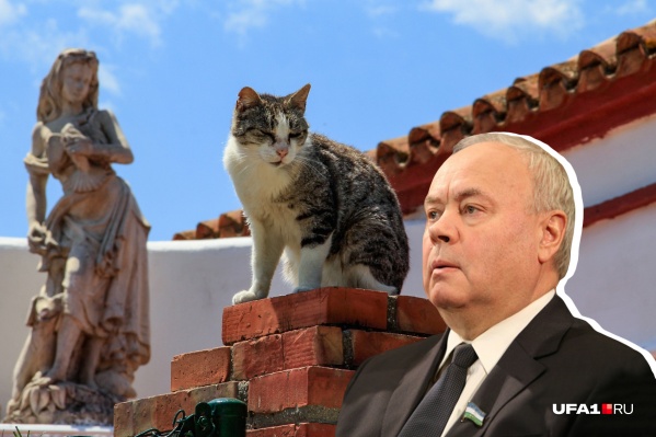 Константин Толкачев прокомментировал новые поправки в закон Константин Толкачев прокомментировал новые поправки в закон