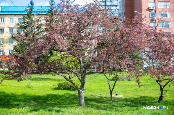 Неделя будет по-летнему теплой Неделя будет по-летнему теплой