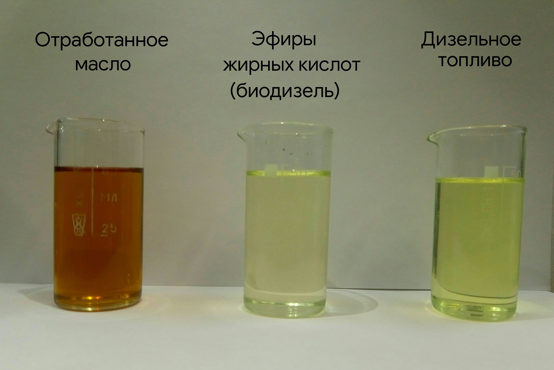 Масло важно перерабатывать, а не выливать, так как оно может нанести вред окружающей среде Масло важно перерабатывать, а не выливать, так как оно может нанести вред окружающей среде