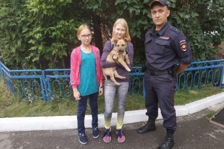 Девочка потеряла щенка, а кто-то его привязал к дереву Девочка потеряла щенка, а кто-то его привязал к дереву
