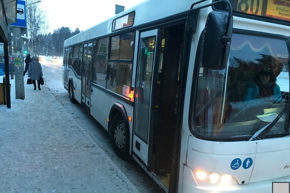 Водитель автобуса не успел затормозить и наехал на женщину Водитель автобуса не успел затормозить и наехал на женщину
