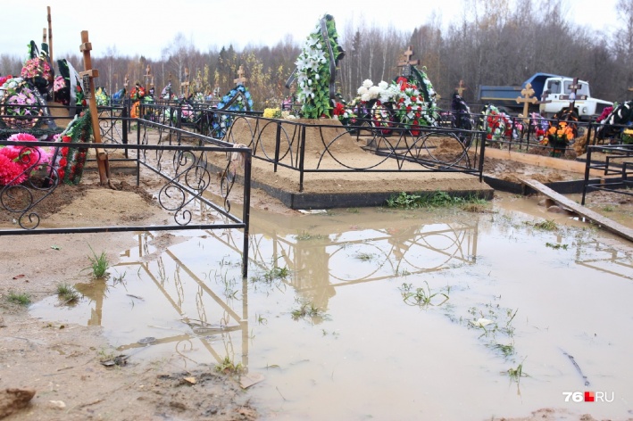 «Не исправят — будем штрафовать»: прокуратура проверила затопленное кладбище под Ярославлем