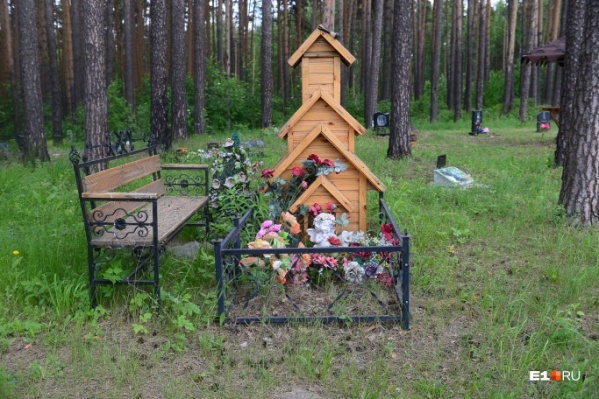 Когда в Кургане появится кладбище для домашних животных, пока неизвестно Когда в Кургане появится кладбище для домашних животных, пока неизвестно