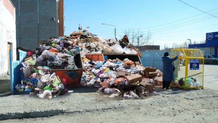 В «Спецавтобазе» пообещали, что в феврале город завалит мусором