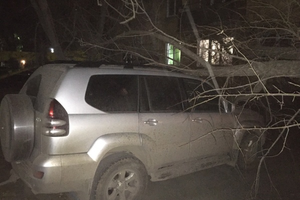 В трёх местах машины пострадали от упавших деревьев, а на улице Иванова на автомобиль рухнула крыша со строительного вагончика В трёх местах машины пострадали от упавших деревьев, а на улице Иванова на автомобиль рухнула крыша со строительного вагончика