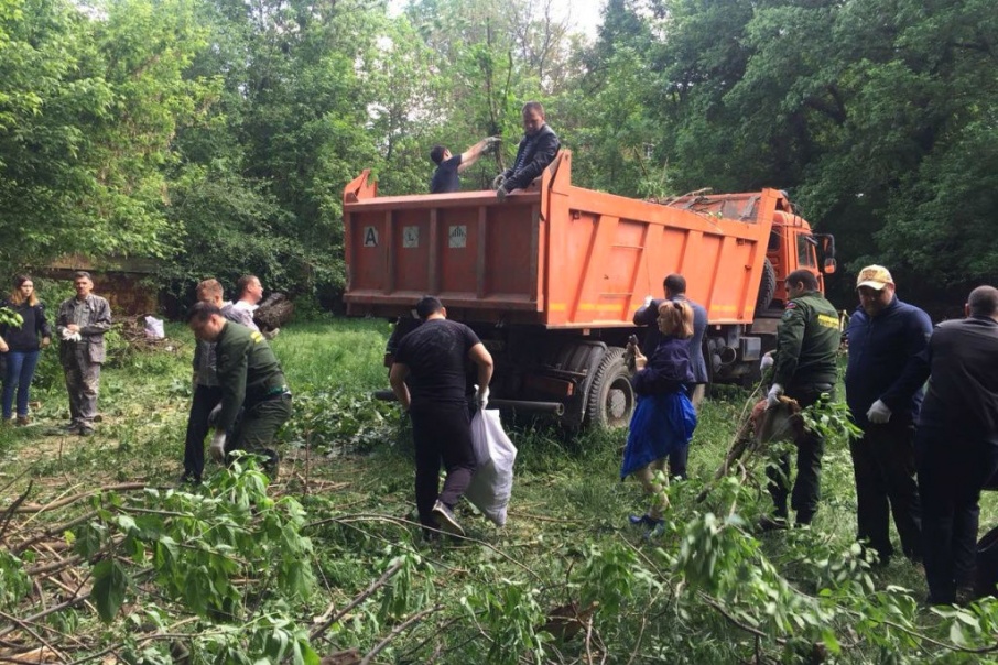 Дошло до прокуратуры: донскую рощу превратили в помойку