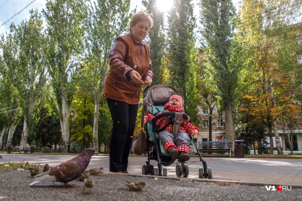 Погода подарила отличную возможность прогуляться по осеннему Волгограду Погода подарила отличную возможность прогуляться по осеннему Волгограду 