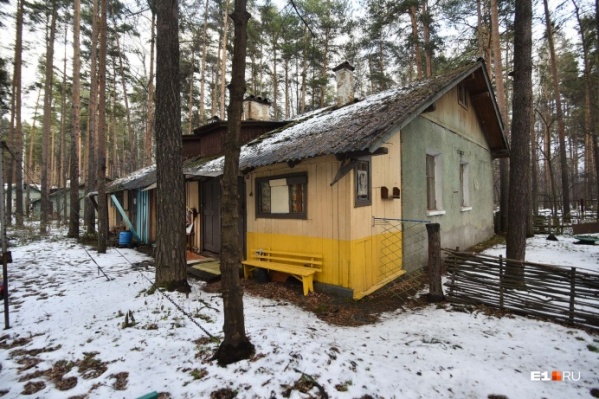 Дачи в парке были построены еще в 1957 году Дачи в парке были построены еще в 1957 году