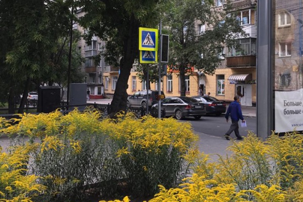 На пешеходном переходе у дома Восход, 20 На пешеходном переходе у дома Восход, 20