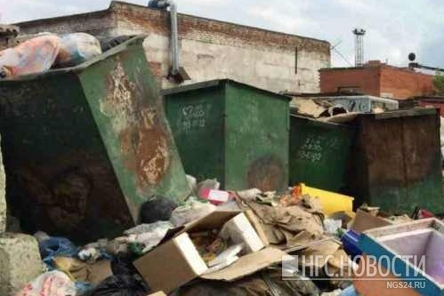 Такой беспорядок разводят на мусорках красноярцы Такой беспорядок разводят на мусорках красноярцы 
