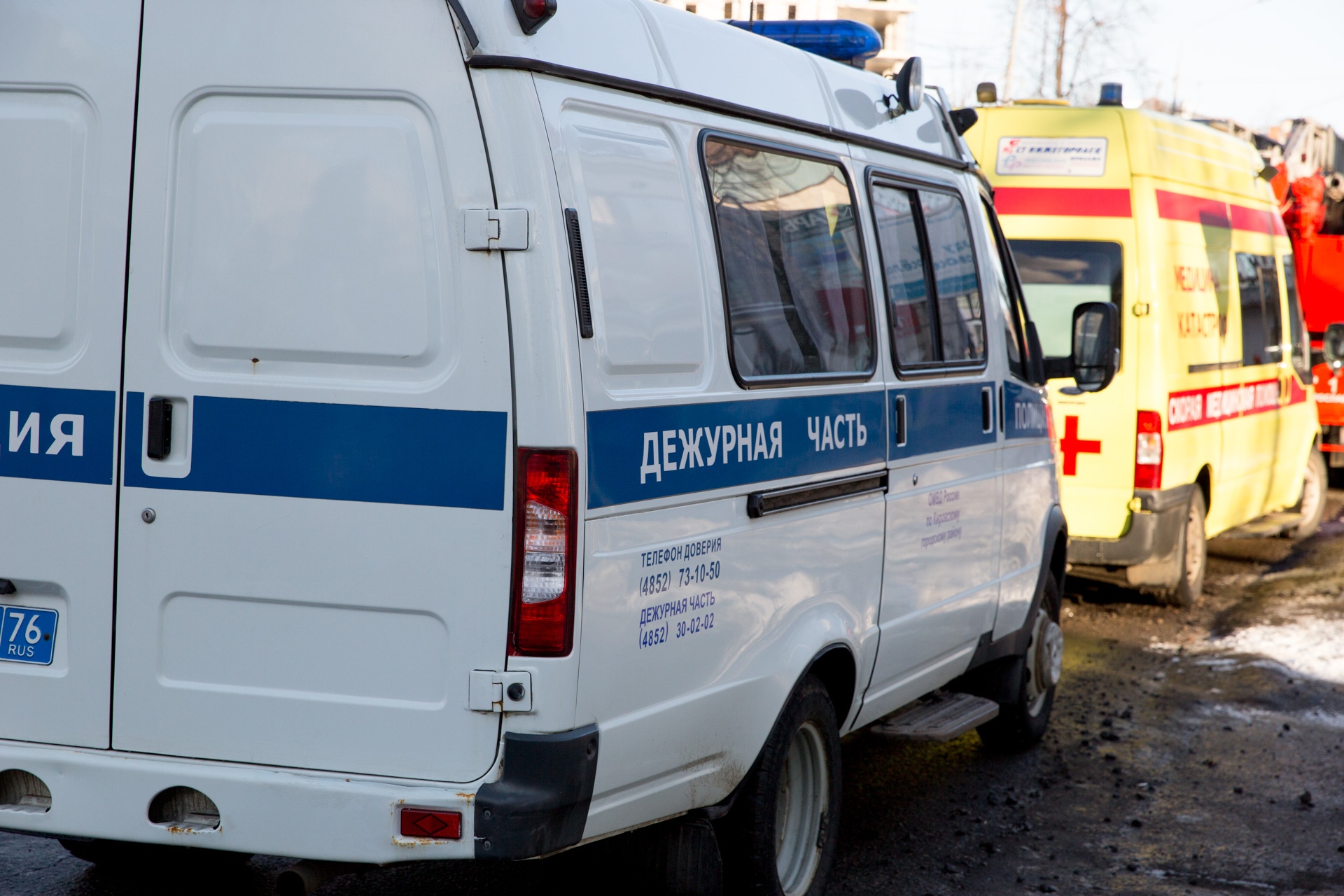 В Ярославле машина насмерть сбила пешехода с собакой