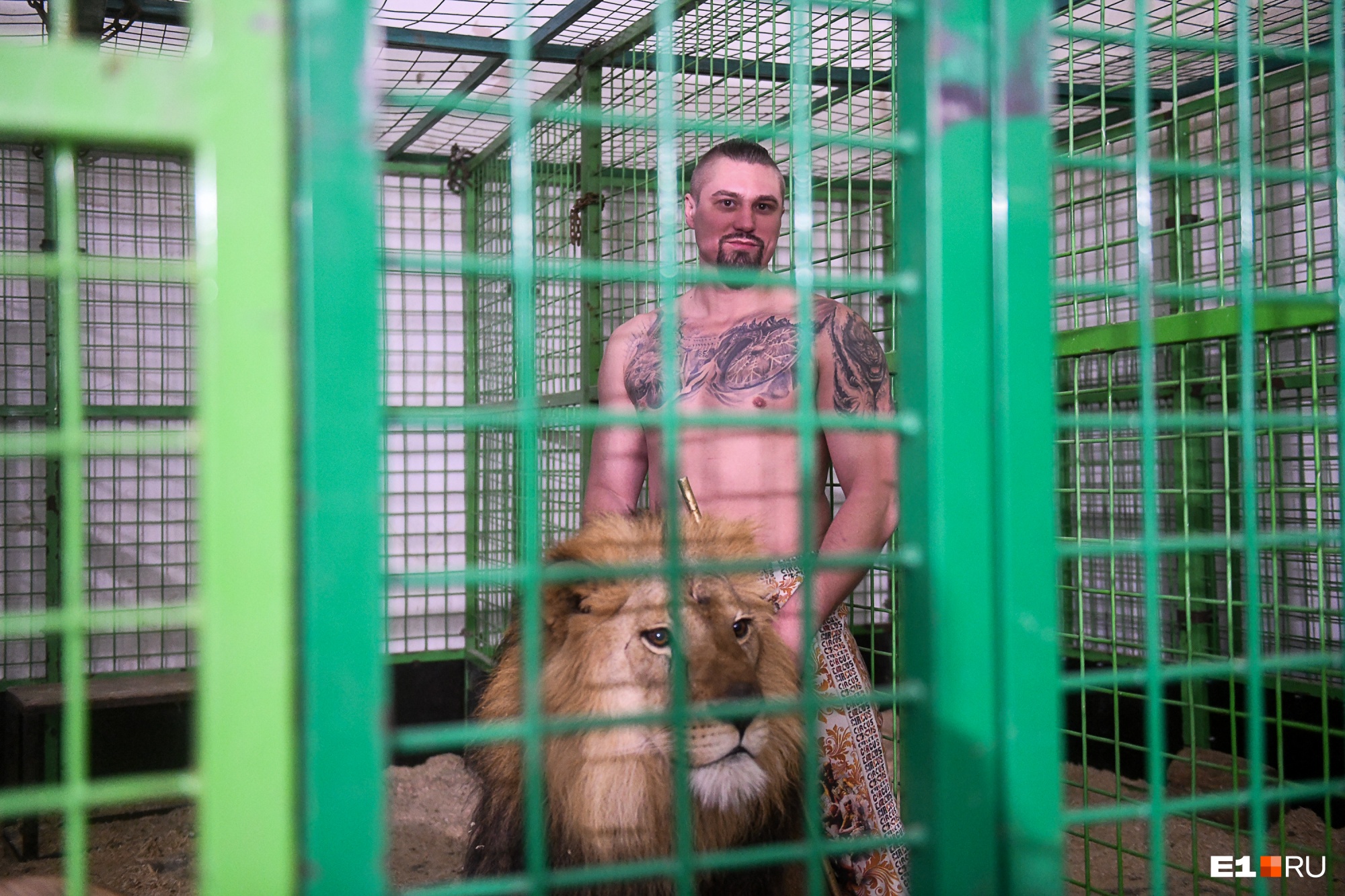 «Все могло быть плачевнее, до летальных исходов»: репортаж из Екатеринбургского цирка, где подрались львы